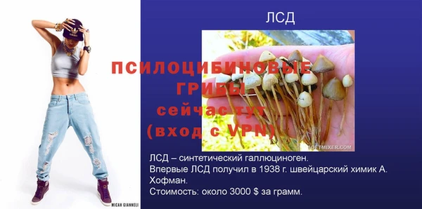 герыч Магас