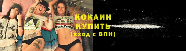 молекула духа Лихославль
