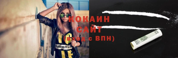 стаф Медногорск