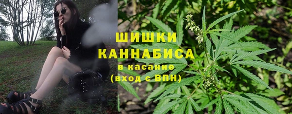 сатива Мегион
